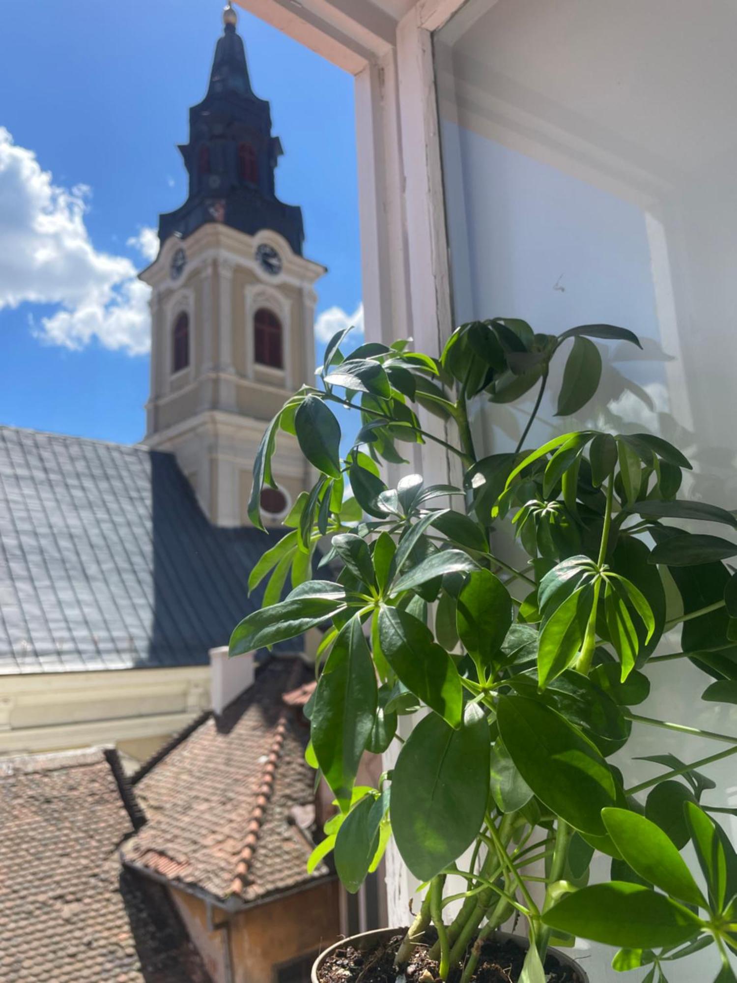 Apartament Ultracentral Alecsandri 1 Oradea Exteriör bild